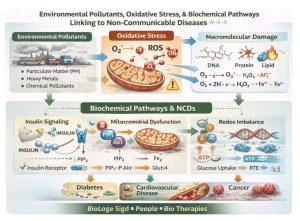 Read more about the article Biochemical Pathways Towards Sustainable Health