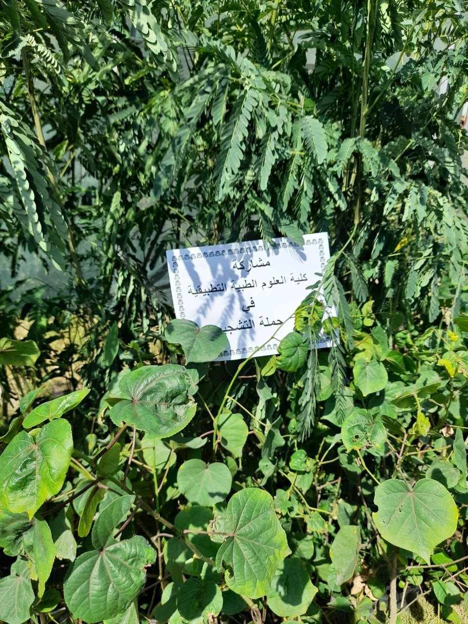 You are currently viewing العلوم الطبية التطبيقية تشارك في حملة التشجير بمناسبة يوم التشجير العالمي