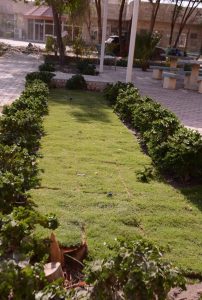Read more about the article كلية العلوم الطبية التطبيقية تؤهل حدائقها وتعتمد انظمة ري حديثة لترشيد استهلاك المياه